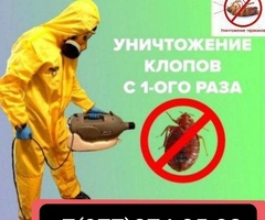ДЕЗИНФЕКЦИЯ КЛОП ТАРАКАНДАРДЫ ТАЗАЛАЙБЫЗ.+79773748582
