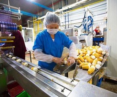 Упаковка / фасовка