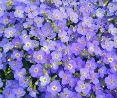 Выкладка продуктов в ночь