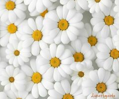 Работник торгового зала