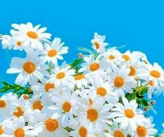 Работник торгового зала