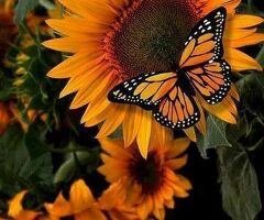 Работник торгового зала