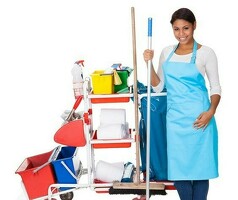 Уборщица в хостел