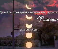 Ассаламу аллейкум