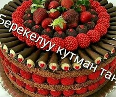 Койко место