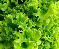 Работник торгового зала