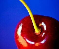 Работник торгового зала