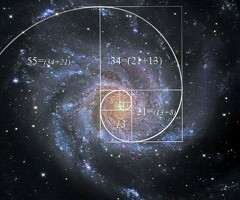 КУРЬЕРЫ И СБОРЩИКИ!!!