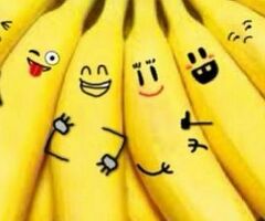 Сборщик заказов ночные смены