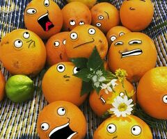 Сборщик заказов ночная смена