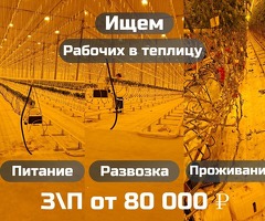 разнорабочий керек с проживанием