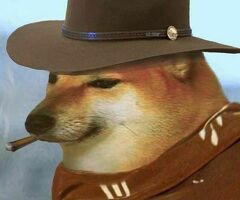 Работник торгового зала