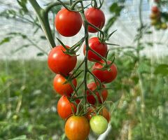 разнорабочий керек с проживанием