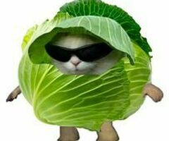 Работник торгового зала