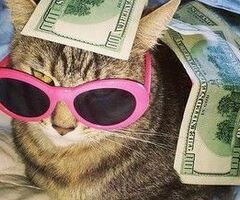 ТОВАРЛАРДЫ НАКСАСЫЗ БИР ГАНА БӨЛҮМДА КӨРСӨТҮҮ