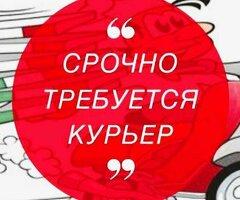 Тез арада Курьерлер керектелет, акчасы кунуно толонот. Без опыт ала беребиз: