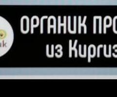 КУРУТ, ШЕРБЕТ, ЖАЛАЛ-АБАД №27