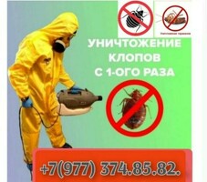 ДЕЗИНФЕКЦИЯ КЫЗМАТЫ БЕЗ ЗАПАХ КАЧЕСТВЕННЫЕ АБРАБОТКА.