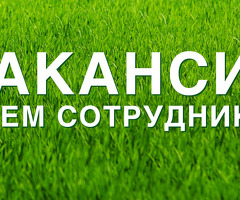 Кассир в ресторан