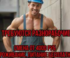 Разнорабочий без опыта