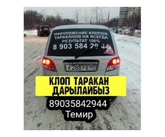 Клоп таракан дарылайбыз