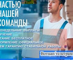 работа для всех