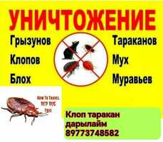 ДЕЗИНФЕКЦИЯ КЫЗМАТЫ КЛОП ТАРАКАН ДААРЫЛАЙБЫЗ