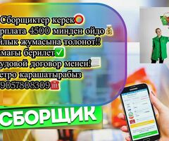 Повар, сборщик, кассир без опыта Жумасына толонот