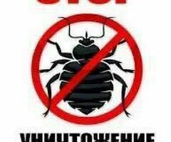 ДЕЗИНФЕКЦИЯ КЛОП ЖердешГ.МОСКВА ОБЛАСТЬ✅ САПАТТУУ ДЕЗИНФЕКЦИЯ 100%‼️ ✅ГАРАНТИЯ✅ СТАЖ 6 Жыл///24/7✅‼️