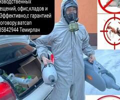 КЛОП ТАРАКАН ДАРЫЛАЙБЫЗ ГАРАНТИЯ 6-АЙ СЕРТИФИКАТ ДОГОВОР БАРЫ ОФИЦИАЛЬНО 89035842944