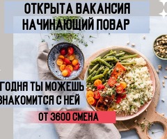 Повар без опыта Жумасына толонот