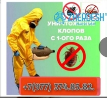 КЛОП ТАРАКАН ДААРЫЛАЙБЫЗ 6 АЙ  ГАРАНТИЯ БЕРЕБИЗ.