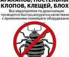 ДЕЗИНСЕКЦИЯ КЛОП ТАРАКАН САПАТТУУ 100% ГАРАНТИЯ 7АЙ 6 ЖЫЛ СТАЖ 24/7
