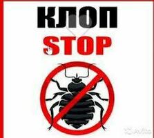 ДЕЗИНСЕКЦИЯ КЛОП ТАРАКАН САПАТТУУ 100% ГАРАНТИЯ 7АЙ 6 ЖЫЛ СТАЖ 24/7