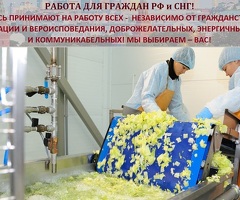 Бригадир на овощное производство.м.Котельники.3800руб/смена.