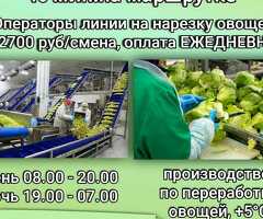 Подработка оплата сразу
