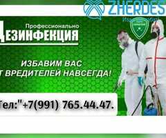 Дезинфекции клоп таракан жок кылабыз