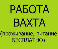 Вахта с проживанием в г. Истра можно без документов