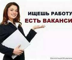 Менеджер по подбору персонала можно без опыта