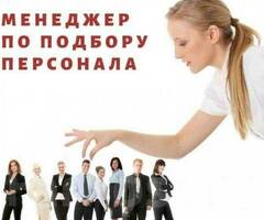 Менеджер по подбору персонала можно без опыта