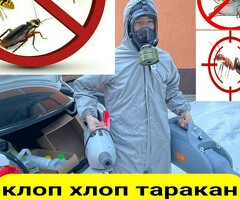 Уничтожение клопов тараканов навсегда результать 100