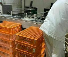 Мойщик тары, разнорабочий магазинге