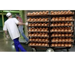 Комплектовщик с проживанием