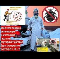 Клоп таракан ДАРЫЛАЙБЫЗ ГАРАНТИЯСЫ менен