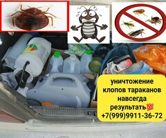 Клоп таракан ДАРЫЛАЙБЫЗ ГАРАНТИЯСЫ менен