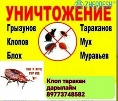 ДЕЗИНФЕКЦИЯ КЛОП ТАРАКАН ДААРЫЛАЙБЫЗ