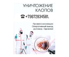 Служба дезинфекции