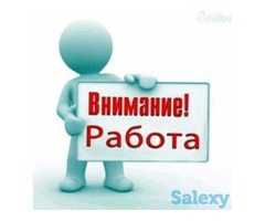 Сотрудники