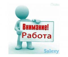 Комплектовщик ТСД