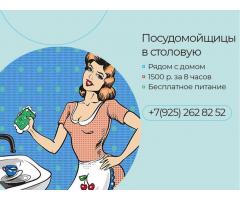 Работа в школьной столовой